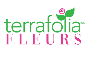 Fleuriste Terrafolia Flowers Fleuriste Terrafolia Flowers